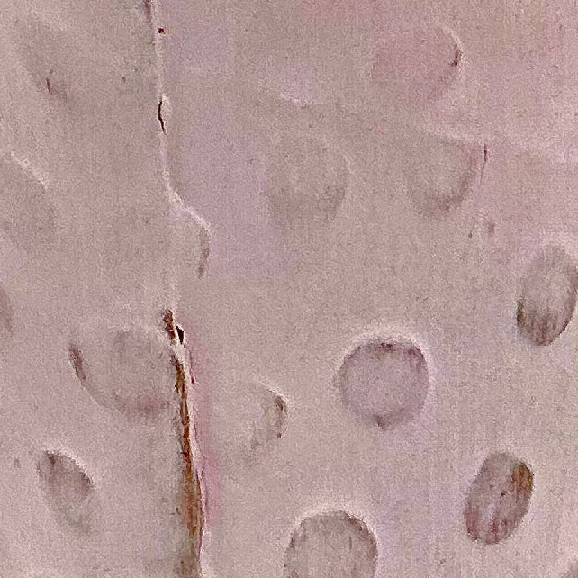 Zig Sig - Colored Terra Sigillata - Large